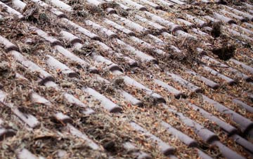 Gordon roof cleaning companies